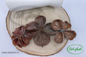Flori uscate land lotus glitter argintiu