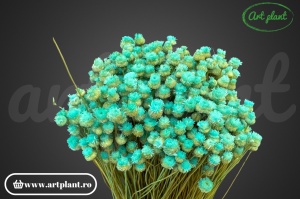 Happy flower turquoise(G)
