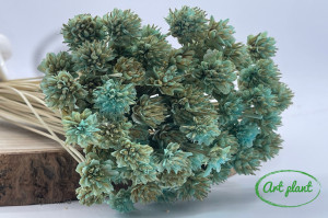 Hill Turquoise