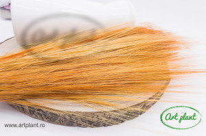 Iarba Barba Orange
