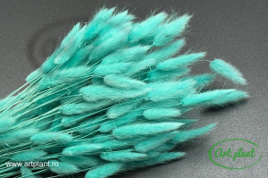 Lagurus verde mint