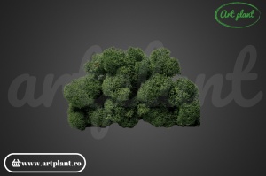 Licheni Dark Green