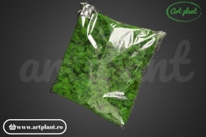 Licheni stabilizati Nature Green - Img 4