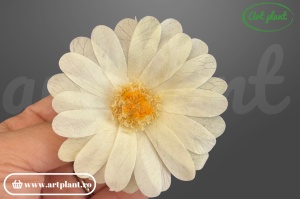 margarete criogenate crem flori naturale stabilizate