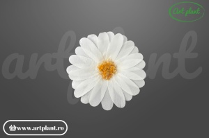Margarete criogenate ivory