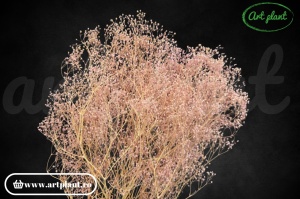 Mini gypsophila light pink