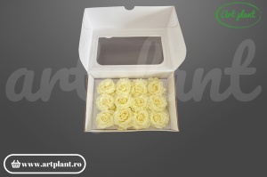 Mini Rose Romantic stabilizate light yellow din Ecuador, Ø 4–5 cm • Înălțime 2–2.3 cm, 12 buc