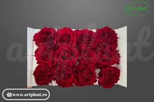 mini rose romantic stabilizate rosii flori decorative pentru aranjamente
