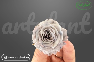 Mini Roze Capucino Cho89
