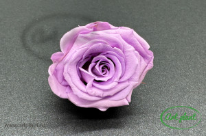 Mini Roze Warmi Lila Vio03