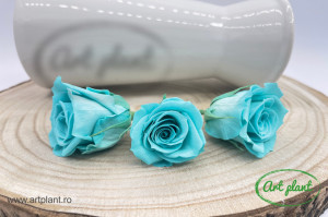 Mini Roze Warmi Turquoise Blu02 - Img 1