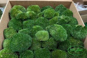 Muschi Mini Ball Moss Nature Green - Img 4