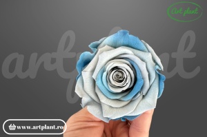 Trandafir stabilizat L albastru Blu05, detaliu petale bicolor, producător Rose Amor Ecuador, Art Plant