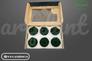 Trandafir criogenat L verde închis Gre02 Ø 5 cm, producător Rose Amor Ecuador, aranjament floral premium