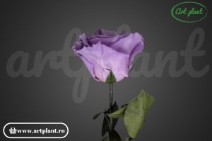 Trandafir criogenat Lila Vio03 cu tijă, 30 cm - Img 2