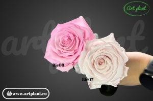 Trandafir criogenat Roz Bic07 cu tijă, 30 cm - Img 4