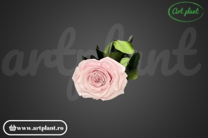 Trandafir criogenat Roz Pal Pin04 cu tijă, 30 cm