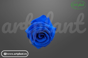 Trandafiri Criogenati 6cm Albastru Regal