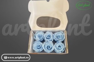 Trandafiri Criogenati 6cm Baby Blue din Ecuador, 5.5-6.3 cm , inaltime 5-6.1, 6 buc