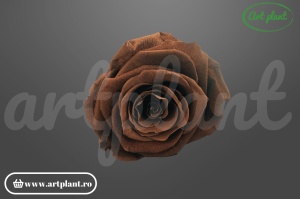 Trandafiri Criogenati 6cm Maro Ebony