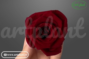 Trandafiri Criogenati 6cm Rosu Inchis