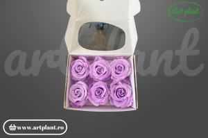 Trandafiri criogenați Mediu Lila - cutie 6 bucăți Art Plan