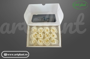 Trandafir criogenat mini light beige 1 bucată floare naturală conservată Ecuador Art Plant