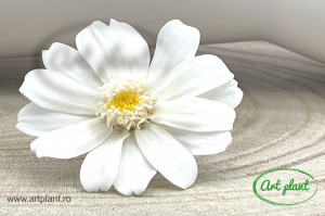 Zinnia Alba