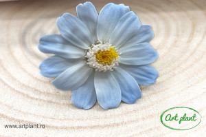 Zinnia Blue Bic