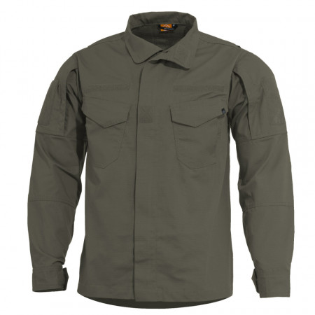 Jacheta lycos - Ranger green