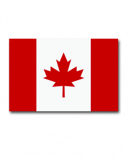 Steag Canada