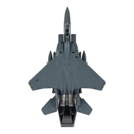 Macheta avion F-15E 1:100 #9
