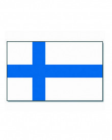 Steag Finlanda