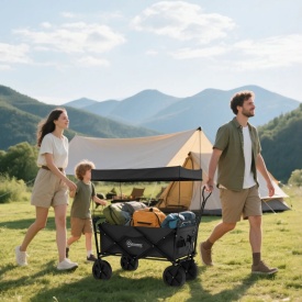 Carucior pliabil pentru exterior cu copertina detasabila - Negru