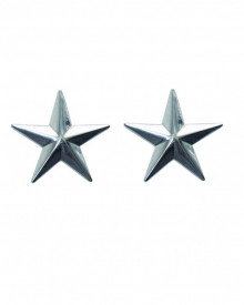 Grade militare 1 stea armata americana - Argintiu