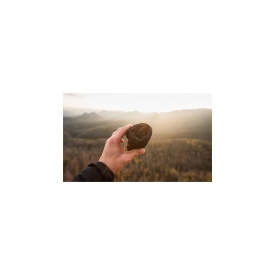 Pantofi tip soseta Moss Skinners 2.0 - Pine