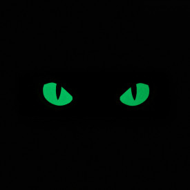 Patch M-tac Cat Eyes type 2 laser cut - Negru