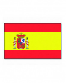 Steag Spania