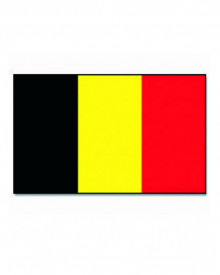 Steag Belgia