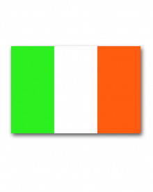 Steag Irlanda