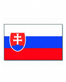 Steag Slovacia