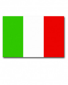 Steag Italia