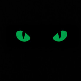 Patch M-tac Cat Eyes type 2 laser cut - Coyote