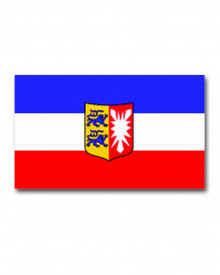 Steag Schleswig-Holstein