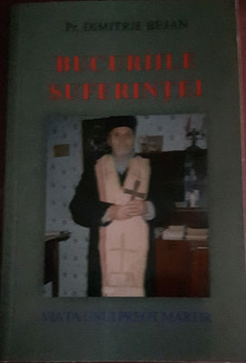 Pr.Dimitrie Bejan-Bucuriile suferintei
