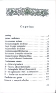 Arhimandrit Daniil Gouvalis-MINUNEA CREDINȚEI - Img 3