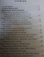 Din minunile Maicii Domnului - Img 4