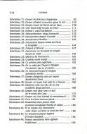 Filocalia 3 - Img 4