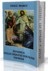 Invierea Fiului Vaduvei din Nain Thomas - Img 1