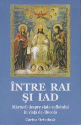 INTRE RAI SI IAD - Img 1